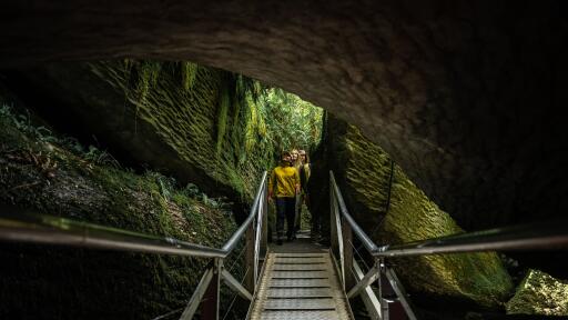 Te Anau Glowworm Caves