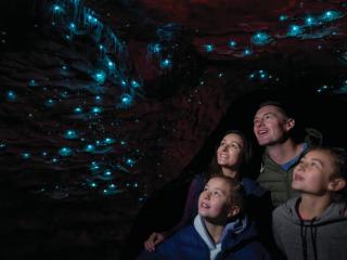 Te Anau Glowworms Cave