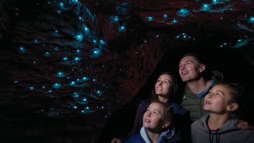 Te Anau Glowworms Cave