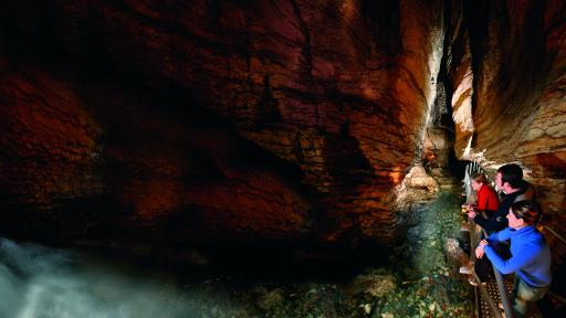 Te Anau Glowworms Caves