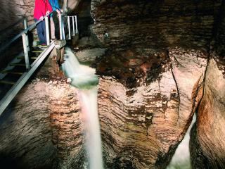 Te Anau Glowworms Caves