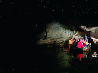 Te Anau Glowworms Caves