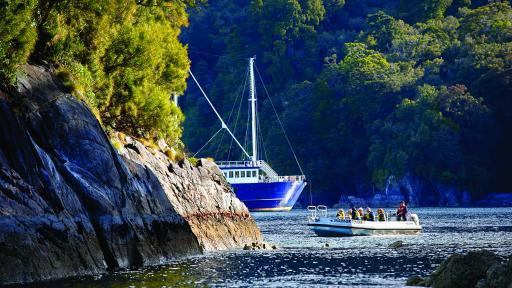 Milford Overnight Cruise