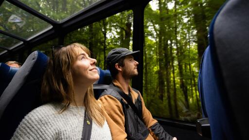 Milford Sound Coach & Cruise