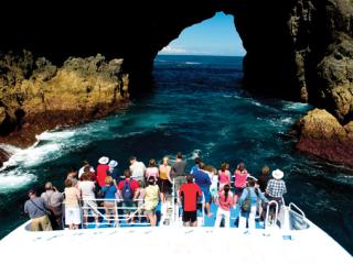 New Zealand Sightseeing Day Tours Bay Of Islands Day Tour New Zealand Sightseeing Day Tours Bay Of Islands Day Tour