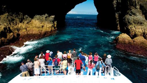 Bay of Islands Day Tour