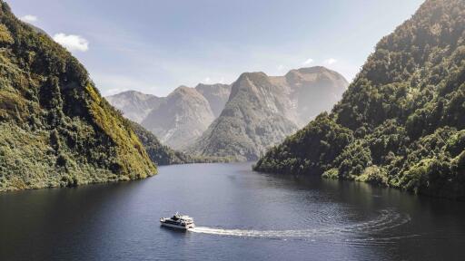 Doubtful Sound Wilderness Cruise