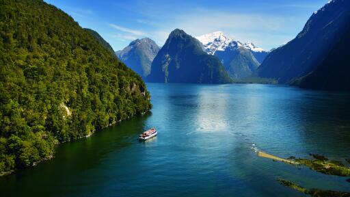 Milford Sound Coach & Cruise