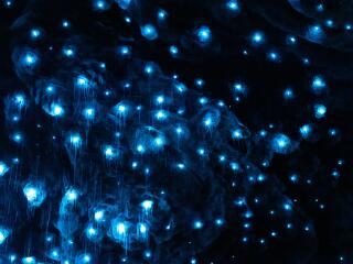 Te Anau Glowworm Caves