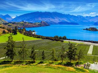 Winery - New Zealand