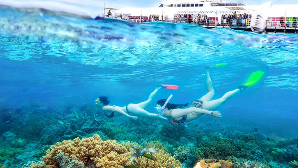 sunlover reef cruises-arlington reef tour great barrier reef tugu