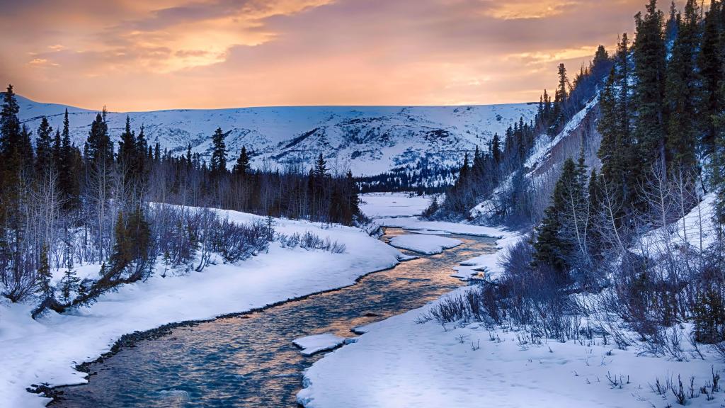 Snowy River Alaska