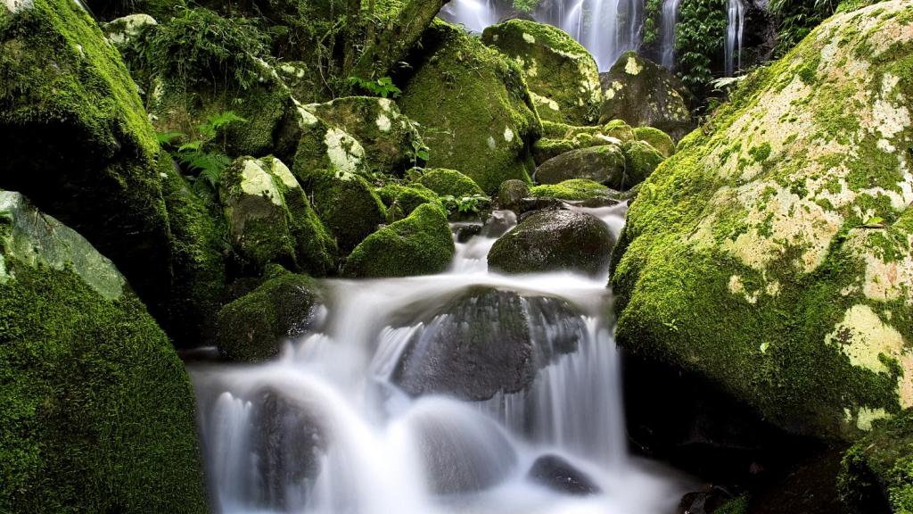 OReillys Waterfall