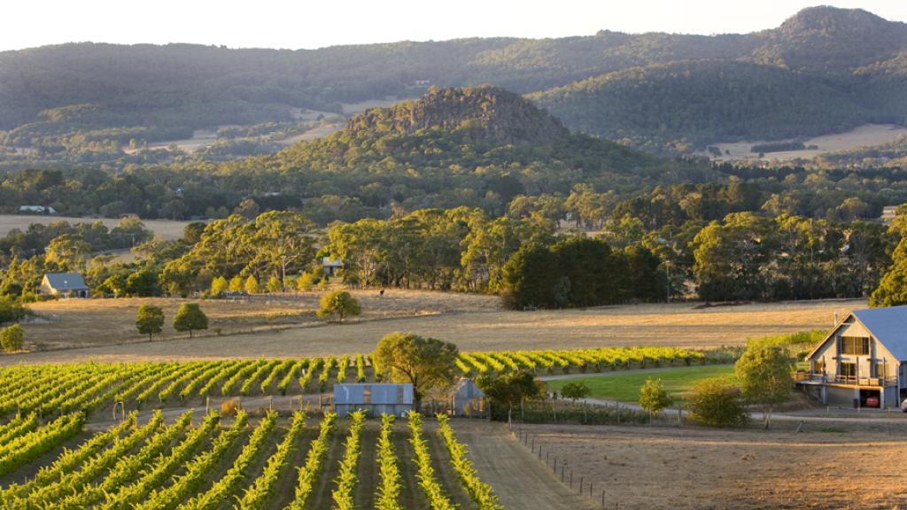 Macedon Ranges Wine Tour