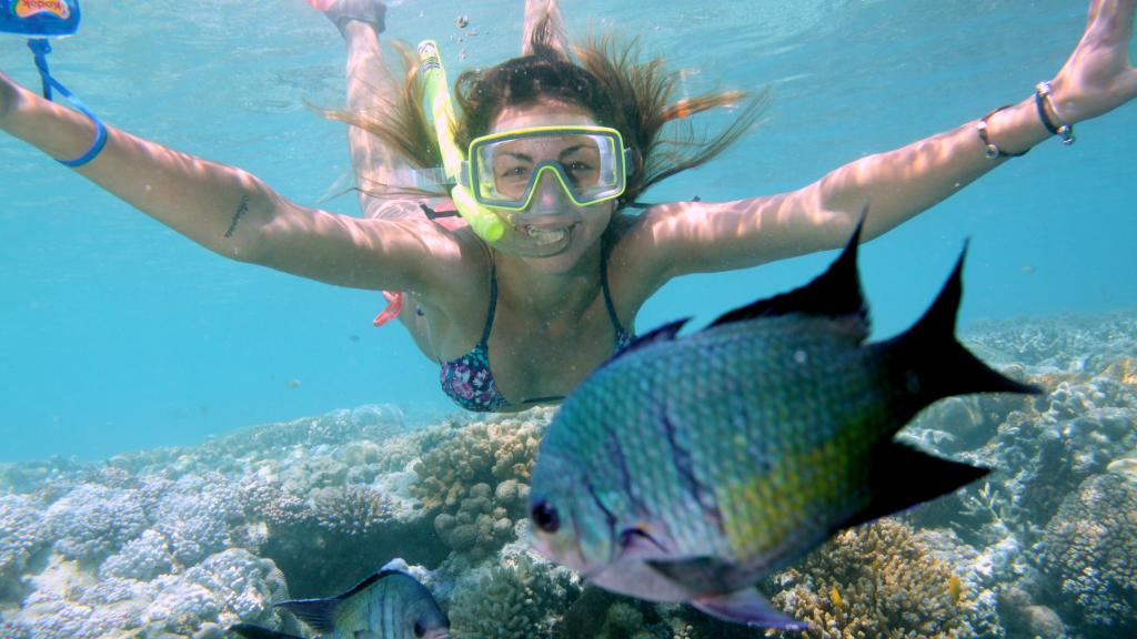 Great Barrier Reef Adventure