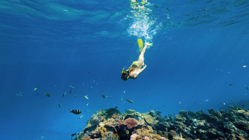 Snorkelling