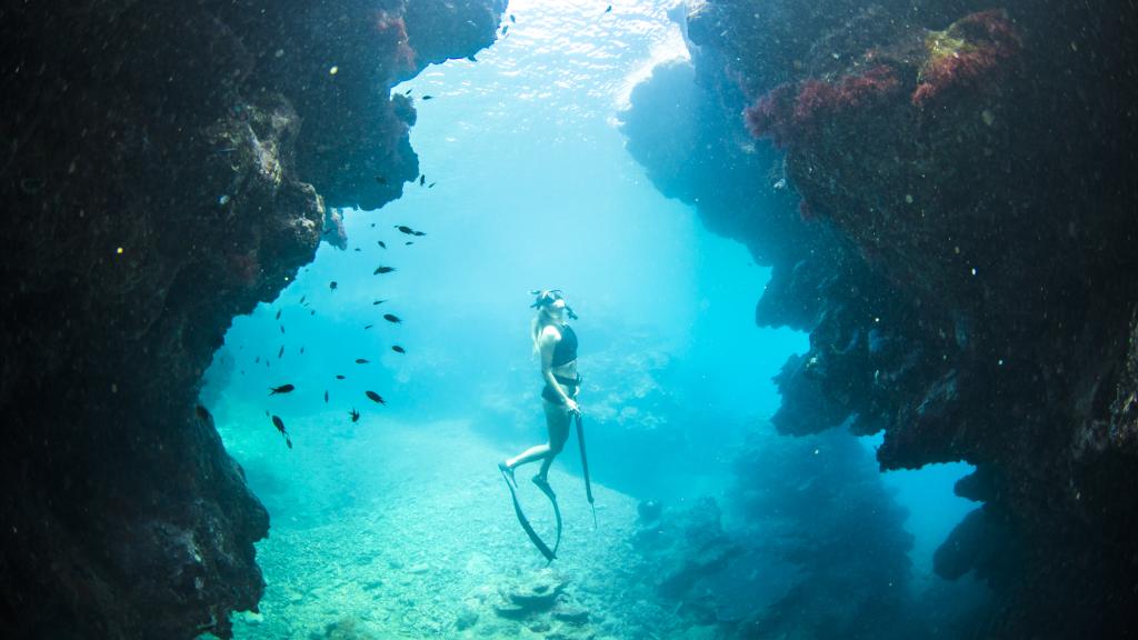 Free Diving