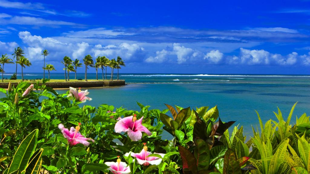 Sorotan Properti Fiji: Naviti Resort Fiji
