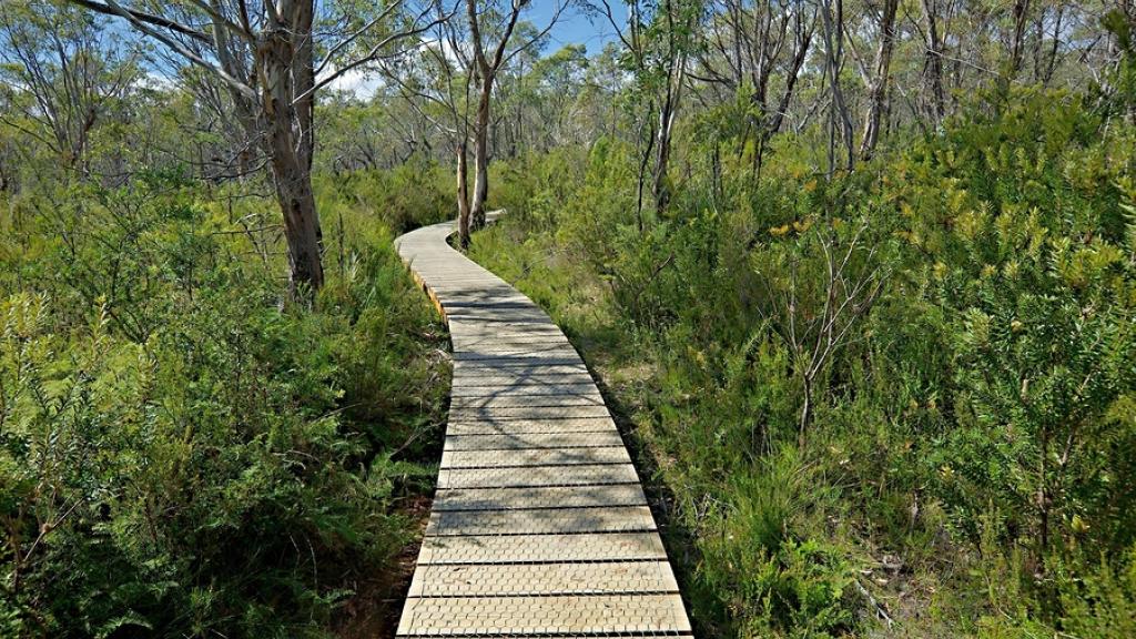 Bushwalk