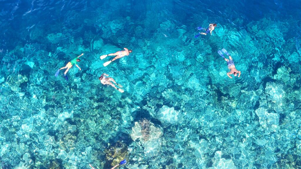 Snorkelling