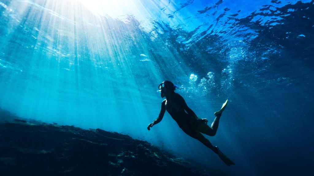 Snorkelling