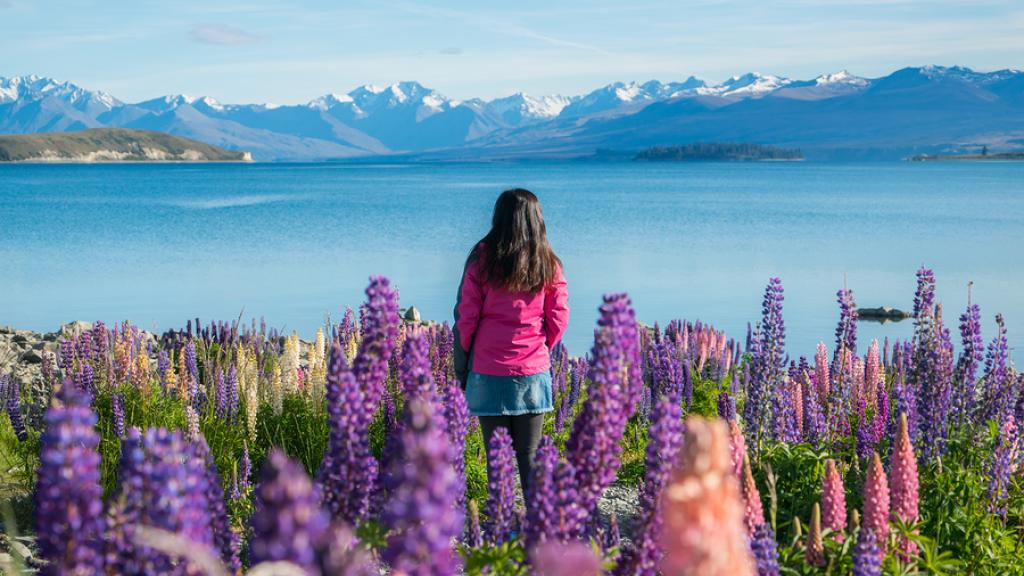 Lake Tekapo