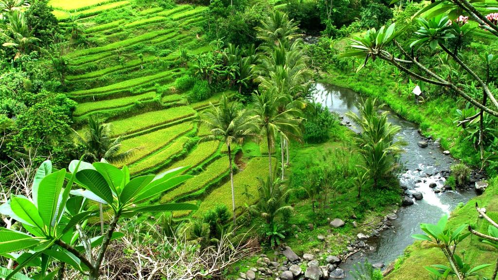 Ubud Valley