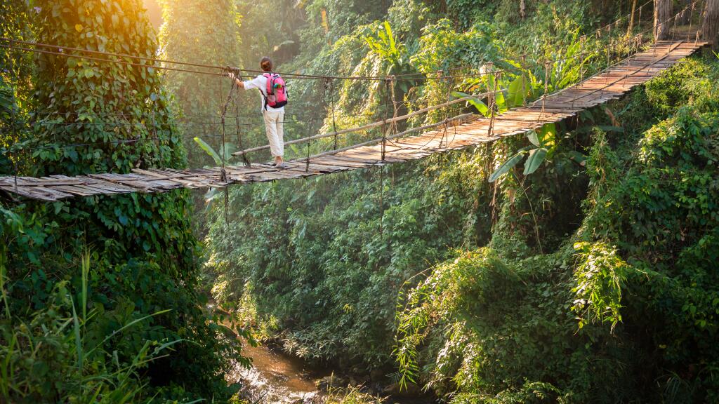 Rainforest Jungle Trek