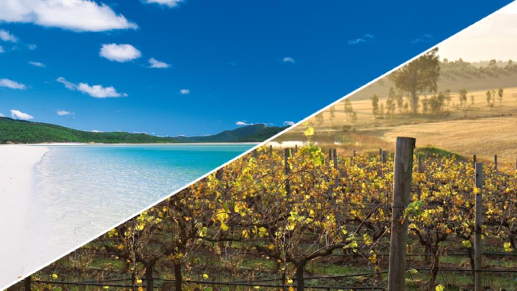 Blog - Generic - QLD v NSW