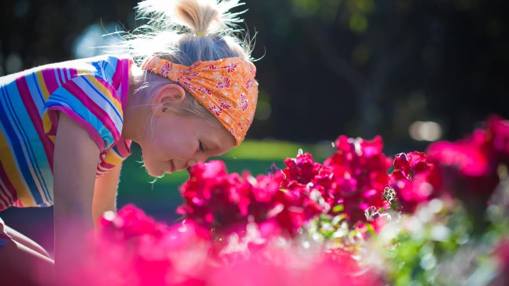 Toowoomba Carnival of Flowers