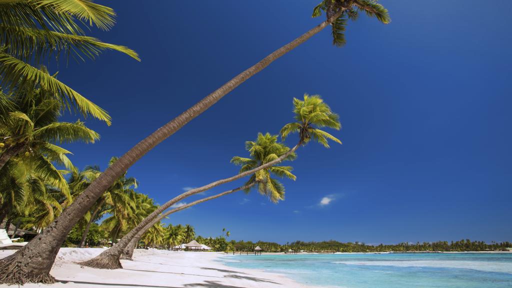 Pantai Fiji