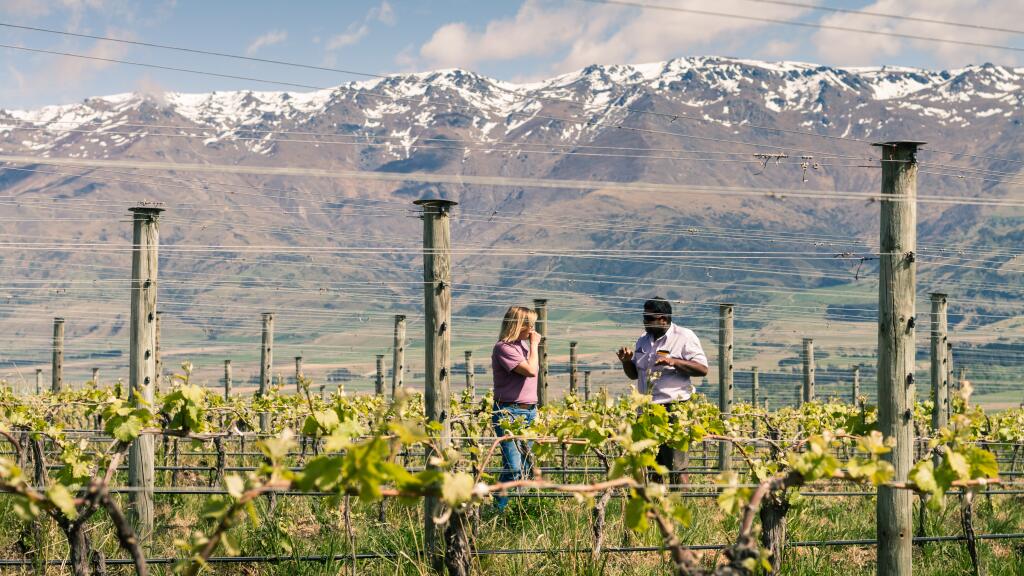 Gibbston Valley Winery - Destination Queenstown