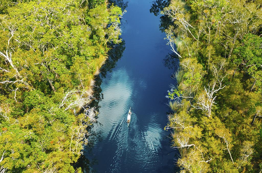Habitat Noosa Everglades Ecocamp | Accommodation Boreen Point, Sunshine