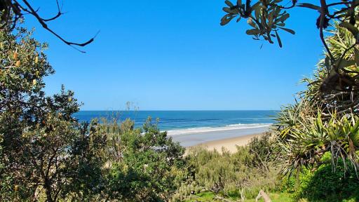 Sunshine Beach View