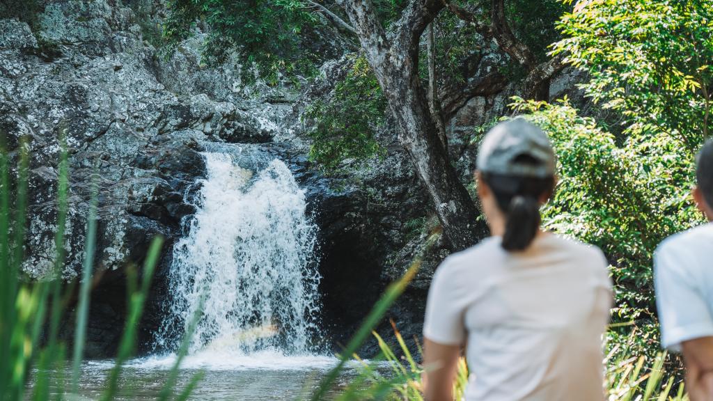 Noosa - Tourism and Events Queensland