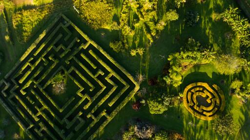 Hedge Maze - Norfolk Island Tourism