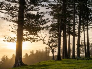 Anson Bay - Norfolk Island Tourism