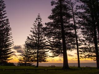 Norfolk Island - Norfolk Island Tourism