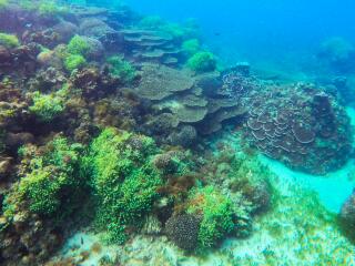 Slaughter Bay - Norfolk Island Tourism