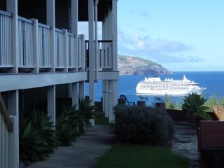 Deck View