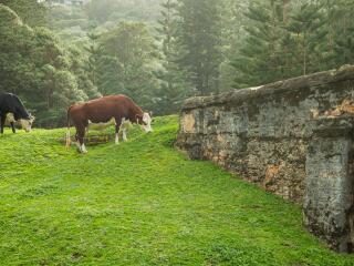 Bloody Bridge - Norfolk Island Tourism