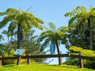 Mt Pitt - Norfolk Island Tourism