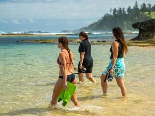 Snorkel - Norfolk Island Tourism