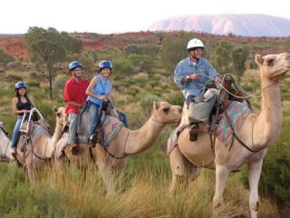 Camel Tour