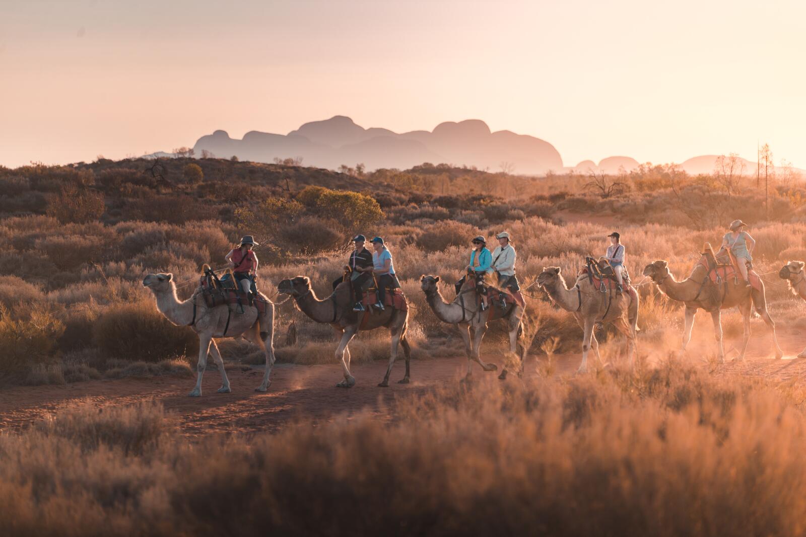 Camel Tour - Tourism NT - Nic Morley