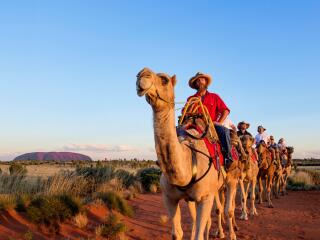 Uluru Camel Tour