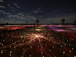 Field of Lights