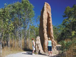 Termite Mounds Litchfield