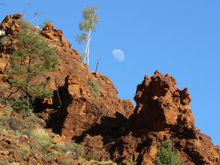 Nhdala Gorge - East MacDonnell Ranges - Northern Territory