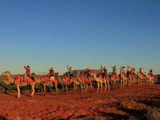 Take a Camel To Sunrise Tour